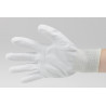 Gloves White Dissipators - Pumer Paume Pumer White Dissipators - Pumer Paurs White Dissipators - PUBMAN PAUGISH DISSIPATORS B